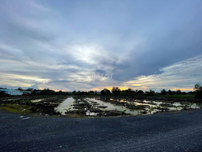 Bán 1,2ha đất cây hàng năm Bình Lợi, Bình Chánh, 3tr/m2