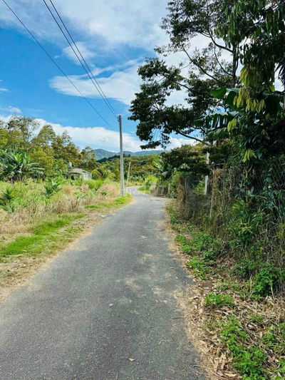 3,3HA ĐẤT CAFE + SẦU RIÊNG | ĐƯỜNG NHỰA XE HƠI