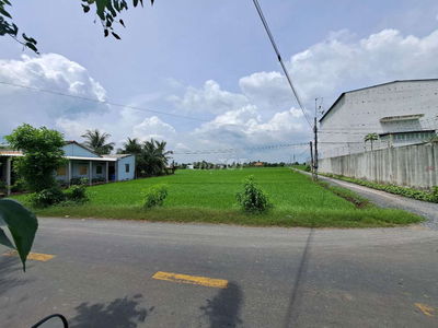 Bán đất 1000m² đường Đăng Mỹ, Tân Trụ