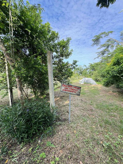 BÁN ĐẤT THỔ CƯ PHÚ PHUẬN – THOẠI SƠN – AN GIANG | GẦN CHỢ – TRƯỜNG HỌC