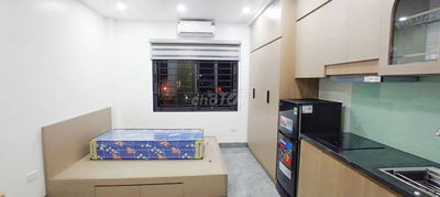 Nhà Đẹp Dòng Tiền Nguyễn An Ninh, Hai Bà Trưng 42 m, 5 tầng, 12.6 tỷ.