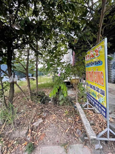 Đất mặt tiền đường Cầu Đỏ Tuý Loan Đà Nẵng kinh doanh tốt