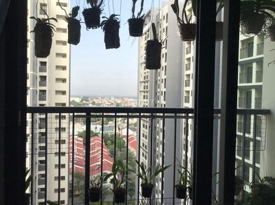 Ecoxuan Lai Thiêu 47m2 1 PN 1WC