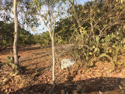 Chính chủ bán lô đất cách đường 715 chỉ 500m, Thiện Nghiệp – Mũi Né