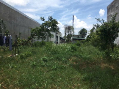 Bán Ngộp Đất Thới Hòa Bến Cát 300m2 950tr.Hợp đầu tư xây trọ cho thuê