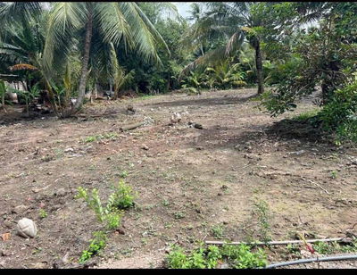 Đất nền Thổ cư xã Tân Long Hội Vĩnh linh