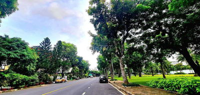 Cho thuê biệt thự view công viên Phú Mỹ Hưng