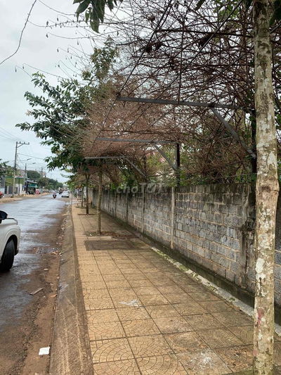 MẶT TIỀN ĐƯỜNG TÔN ĐỨC THẮNG