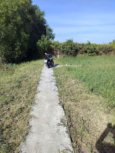 Cần tiền bán nhanh trong tuần