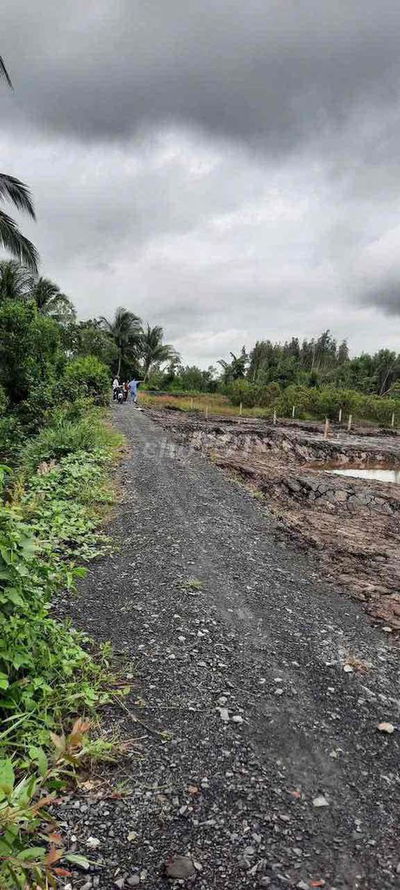 560m2 vườn đg ô tô đã lên mô hình nhà vườn view kênh nhỏ