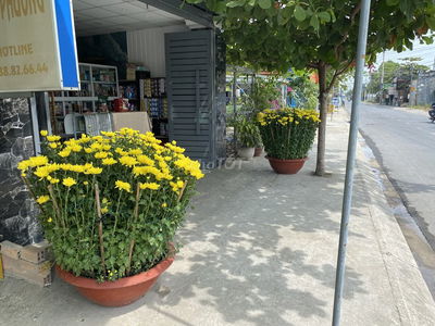 NHÀ MẶT TIỀN PHẠM THI GIẤY, 5X30M, 8.5 TỶ, HH 3%