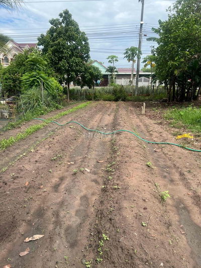 Cần bán đất mặt tiền đường QL 14 - ĐT 741