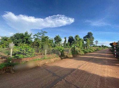 BÁN 2 SÀO MẶT ĐƯỜNG BÊ TÔNG - 1,25TỶ/SÀO