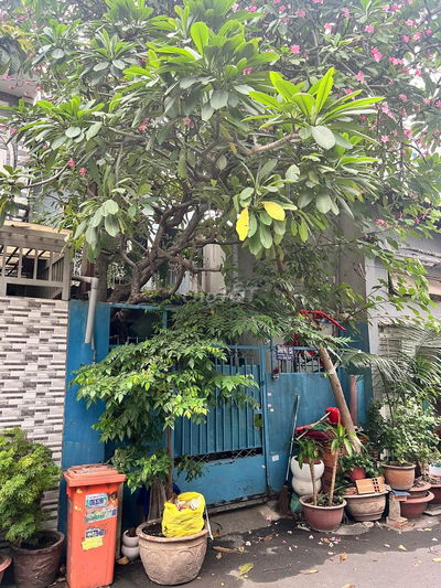 Giảm nửa tỷ để bán gấp nhà hẻm 380 Phạm Văn Chiêu, Gò Vấp