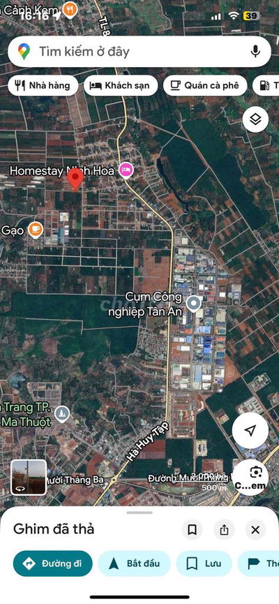 đất ngã 3 cây phượng Cưsue ngay khu công nghiệp Tân An