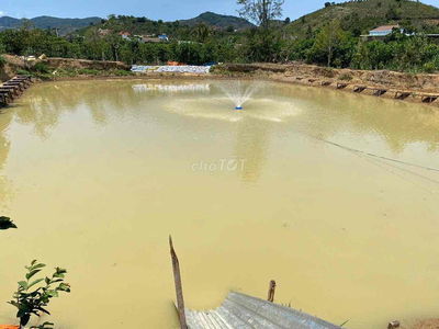 Đất ao nhà bán ở lộc châu bảo lộc. 6,7 xào bán 2,9T (thương lượng)