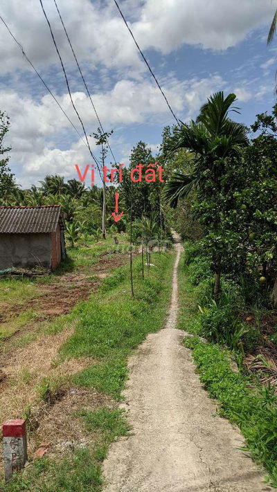 Đất vườn dừa có thổ cư - QL57