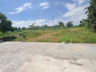 đất cẩm toạ đông hoà phong bê tông 5m đường cồn mùn