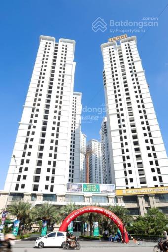 Tổng hợp quỹ căn đẹp nhất Tecco Elite City trực tiếp CĐT - Em Hoàn ĐXMB ở tại dự án 24/7