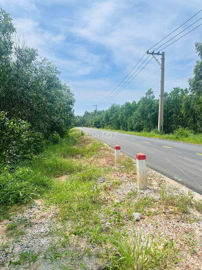 Bán 2.65 mẫu đất Đường nhựa Phạm Thế Hiển - TX LaGi giá rẻ nhất