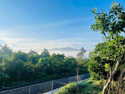 Chỉ 1 Lô View Săn Mây Trung Tâm Thành Phố Giá Hấp Dẫn 300TR 140m2