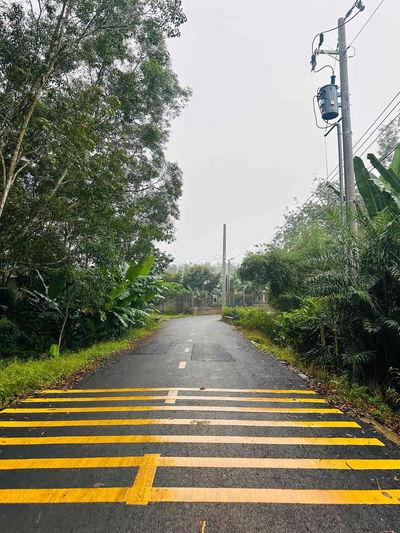 708m2 đất mặt tiền đường nhựa Lô 3, xã Phước Hoà, HCM