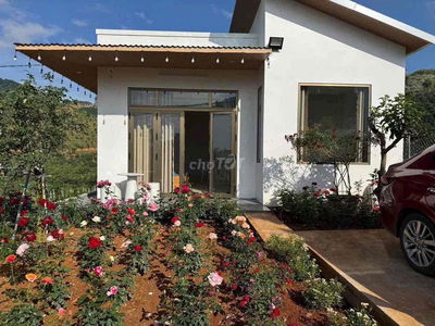 Bán Đất Tặng Nhà 200m2. Đường Xe Hơi Sổ Sẵn, Giá Chỉ 450 Triệu!