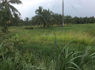 Đất nhà, vị trí mặt tiền rất đẹp, tiềm năng, K.doanh tiện lợi, giá rẻ.