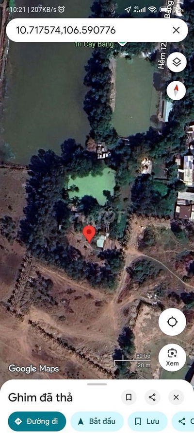 Đất cây lâu năm, Tân Nhựt mới ( Tân Kiên cũ) Tp.HCM. 2950m2. Chính chủ