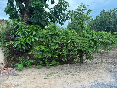 Bán lô đất hiện hữu 100m2 thổ cư ngay trung tâm xã tân thạnh đông,ấp5