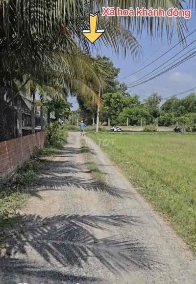 Đất Hoà khánh 5x21m giá 590tr