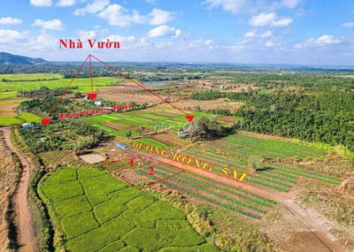 #Thôn8, #CưÊbur (cũ), Phường BMT, Cách Phố 9Km