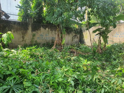 Đất khu dân cư hiện hữu