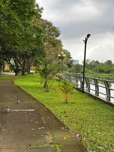 CHO THUÊ PHÒNG CAO CẤP - KHU DÂN CƯ XỊN SÒ