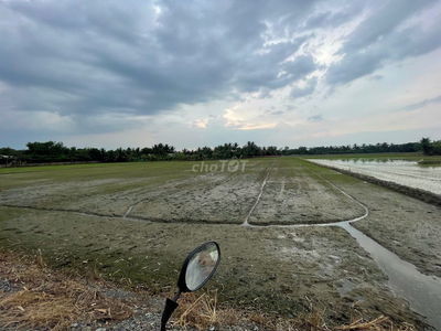 Đất Nông Nghiệp - 4907m2 - Mặt tiền đường Ba Thước - Tân Nhựt