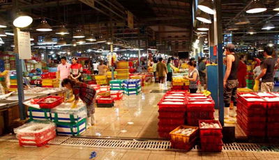 CHO THUÊ VỰA BÌNH ĐIỀN