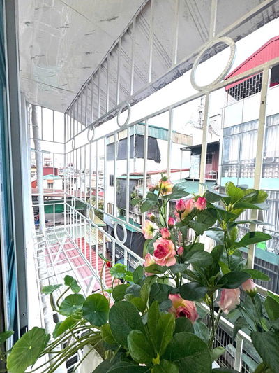 💥🏦Ô TÔ ĐỖ CHÂN CẦU THANG-TẬP THỂ TRUNG TÂM #HAI #BÀ #TRƯNG-SÁT CÔNG