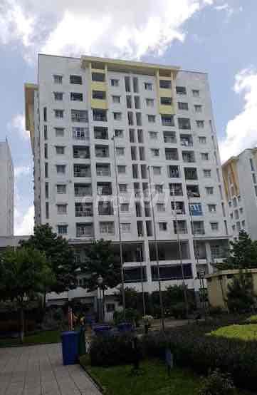 Cho thuê căn hộ 3pn, 1wc, 1 nhà tắm 10tr/tháng