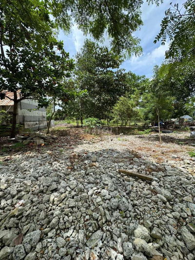 5000m2 ĐẤT THỔ CƯ MẶT TIỀN NGUYỄN BÌNH + LÊ VĂN LƯƠNG