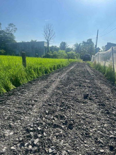 500m2 đường số 2 bình lợi 1ty3 quá rẻ Đức Hoà Long An