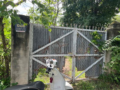 CHO THUÊ NHÀ VƯỜN-CÓ SẴN KHU CHUỒNG NUÔI GÀ RỘNG LỚN-CHOTHUÊ RẺ NHẤT