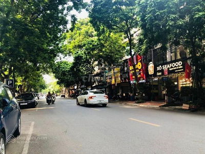 CC bán 85m2 x 9 tầng Nguyễn Thị Định, Cầu Giấy, ô tô đỗ, phân lô 29 tỷ