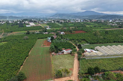 Bán đất gần sân bay Liên Khương 730 triệu sẵn sổ riêng có thổ cư