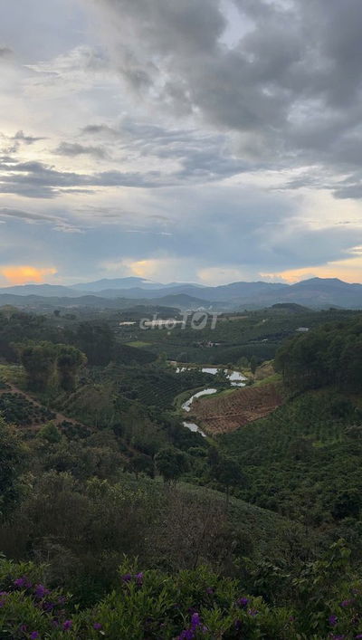 Đất 265m2, ngang 8 dài 34, sẵn 140m2 thổ cư ở Nam Hà Lâm Hà, Lâm Đồng