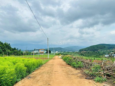 Đất nghỉ dưỡng gần Hoa Trong Rừng- Tà Nung