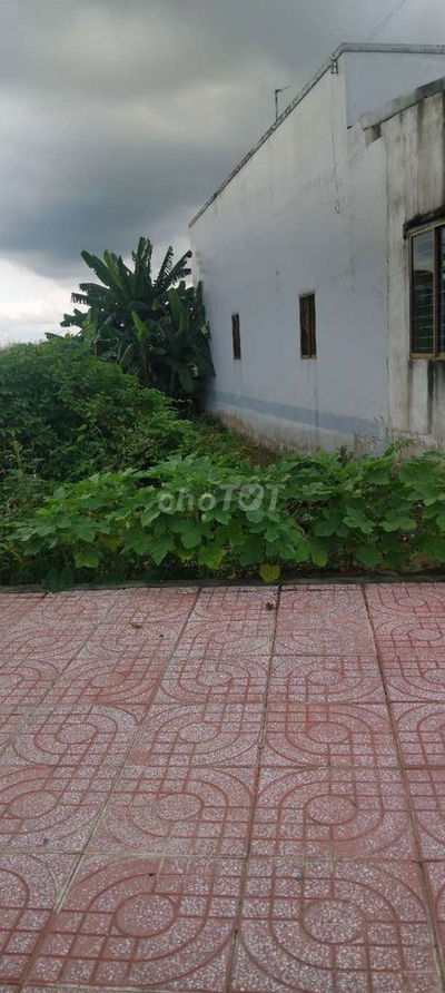 Đất Thổ Cư 90m2. DT 830 Ngay Ngã Tư Trạm. Hướng Ra Cảng Quốc Tế