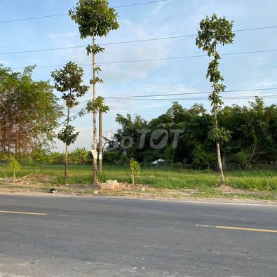 EM CHÍNH CHỦ CẦN BÁN ĐẤT MẶT TIỀN KHU CÂY XOÀI GẦN TUYẾN TRÁNH CHỢ T3