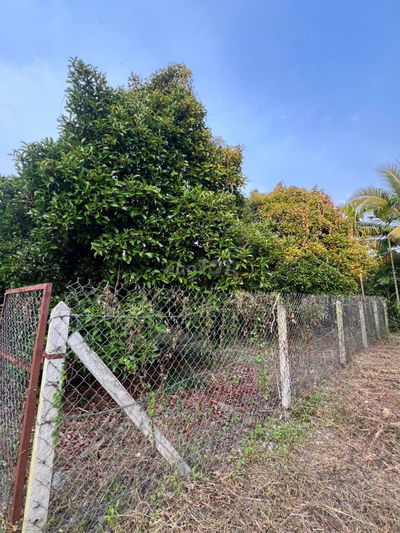 Bán đất tặng vườn măng An Sơn Thuận An Bình Dương