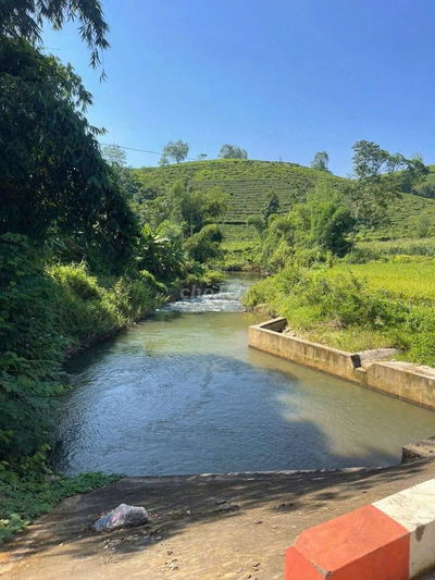 Cần bán gấp lô đất ở phường 2- TP Bảo Lộc view đồi chè-hồ-rừng thông