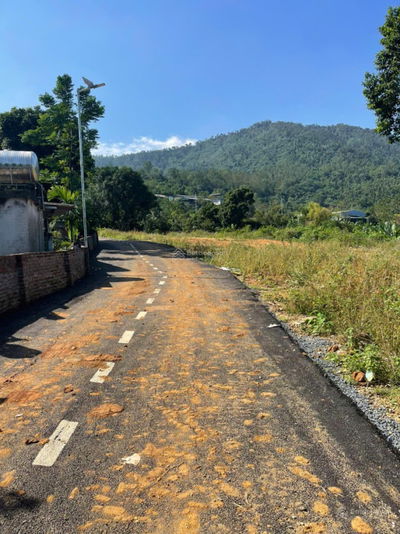 Chính chủ sẵn nguồn đất Đông Xuân từ 1200m2 tới 2000m2 có thổ cư, ngay cạnh tuyến Metro Hòa Lạc